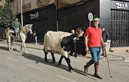 FiestasTradiciones-San-Anton-Hellin20