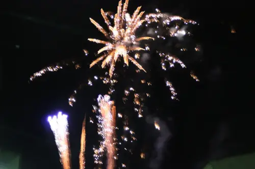 FiestasTradiciones-S.Anton-Tobarra31