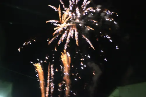 FiestasTradiciones-S.Anton-Tobarra32