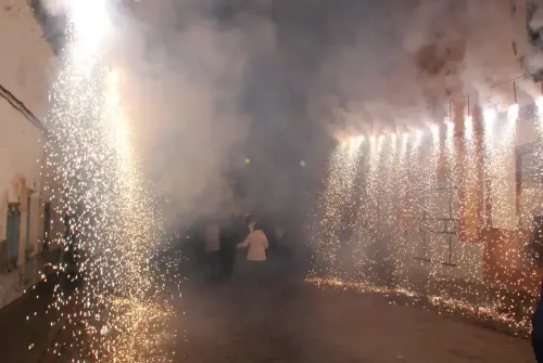 FiestasTradiciones-S.Anton-Tobarra39