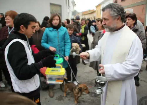FiestasTradiciones-S.Anton-Tobarra45