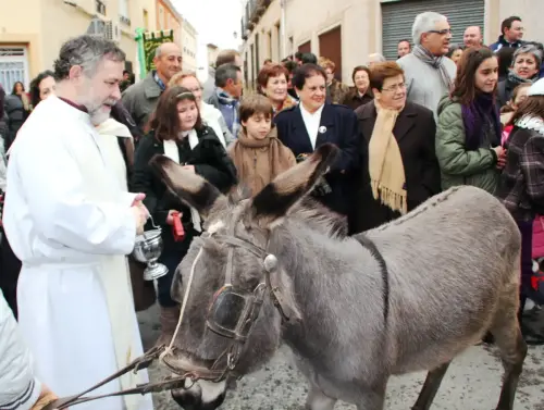 FiestasTradiciones-S.Anton-Tobarra46