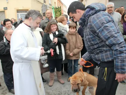FiestasTradiciones-S.Anton-Tobarra47