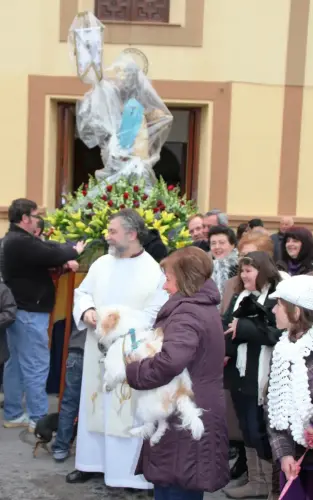 FiestasTradiciones-S.Anton-Tobarra49