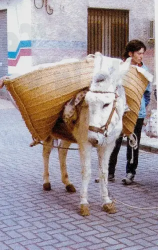 FiestasTradiciones-S.Blas-Elche-de-la-Sierra24