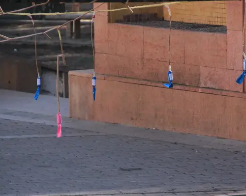 FiestasTradiciones-S.Isidro-Albatana16