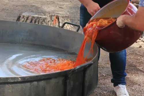 FiestasTradiciones-S.Isidro-Albatana11