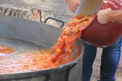 FiestasTradiciones-S.Isidro-Albatana12