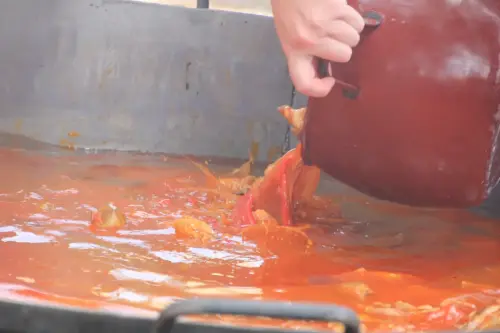 FiestasTradiciones-S.Isidro-Albatana14