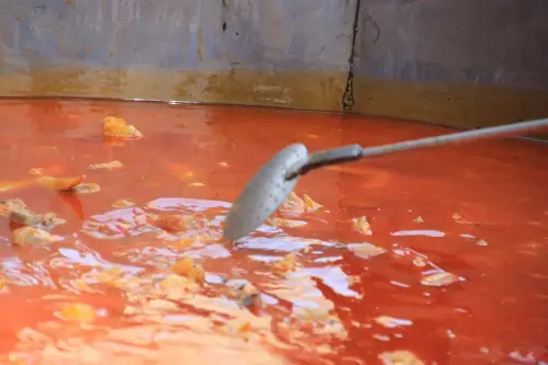 FiestasTradiciones-S.Isidro-Albatana18