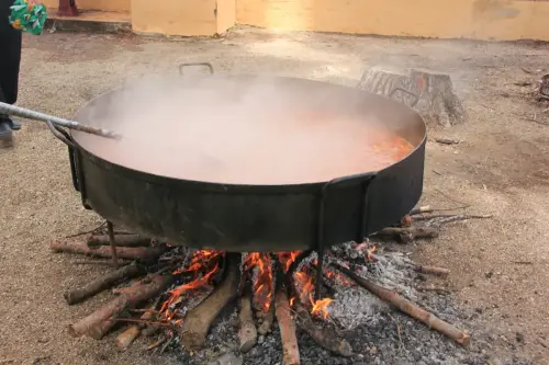 FiestasTradiciones-S.Isidro-Albatana22