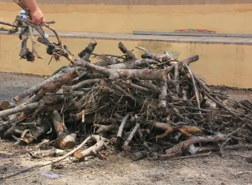 FiestasTradiciones-S.Isidro-Albatana4