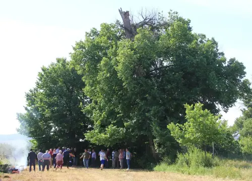 FiestasTradiciones-S.Isidro-Albatana56