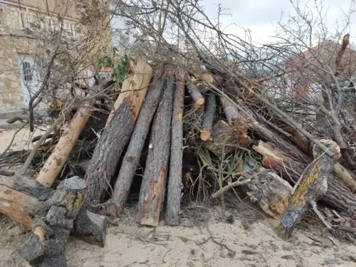 FiestasTradiciones-Santa-Lucia-Alcadozo5