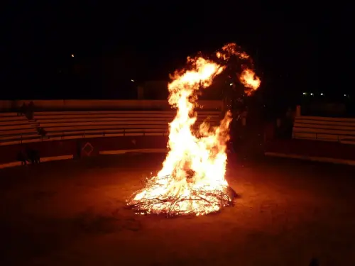 FiestasTradiciones-Santa-Lucia-Alcadozo57