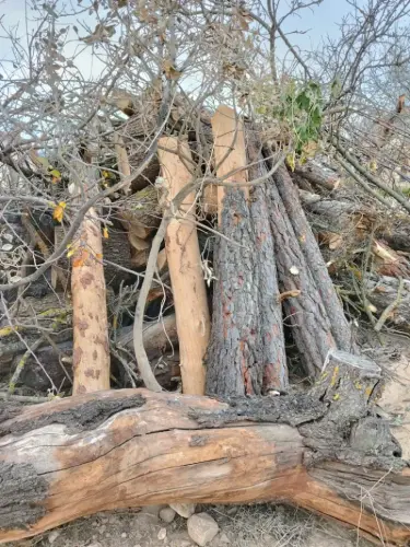 FiestasTradiciones-Santa-Lucia-Alcadozo6