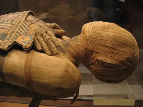 FIEST.TRAD.002-Ritos-de-transito