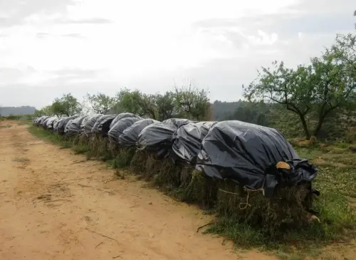 FIEST.TRAD.055-Tradiciones-populares