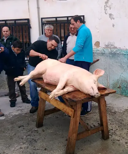 FIEST.TRAD.091-La-matanza