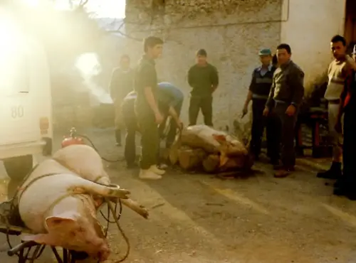 FIEST.TRAD.091a-La-matanza