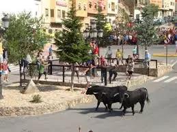 FIEST.TRAD.093-Encierros-Molinicos