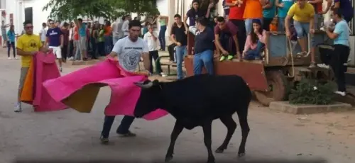 FIEST.TRAD.093-Encierros-Povedilla