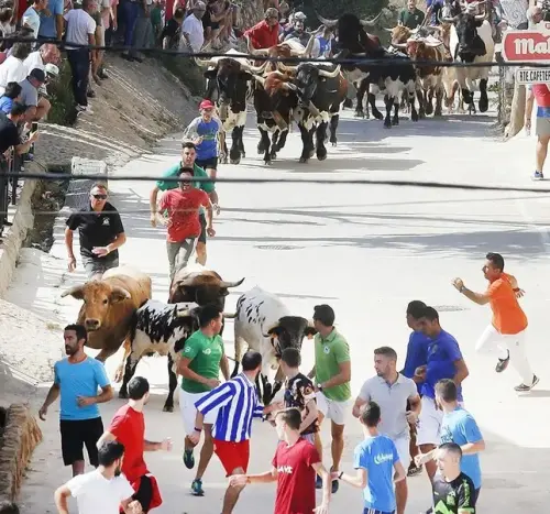 FIEST.TRAD.093-Encierros-Socovos