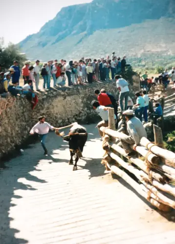 FIEST.TRAD.093d-Encierros