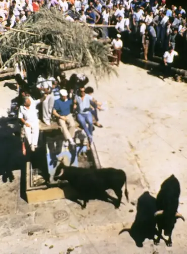 FIEST.TRAD.093f-Encierros