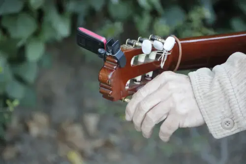 FIEST.TRAD.112d-Animeros