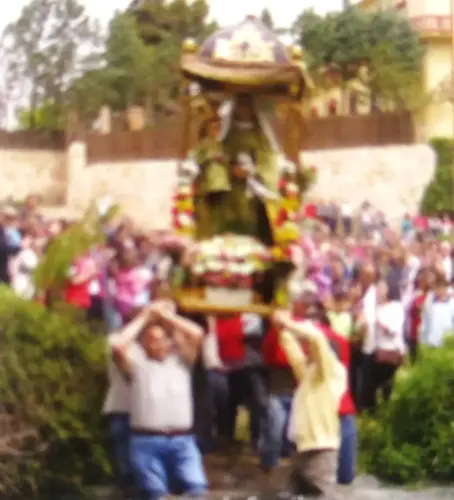 FIEST.TRAD.127a-Romeria-Virgen-de-la-Fuente-Munera