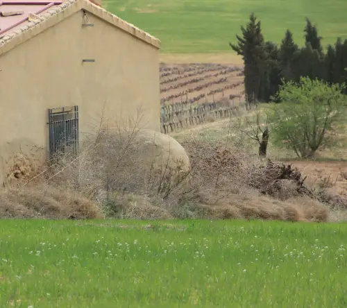 Hornos-Chinchilla-Pinilla2