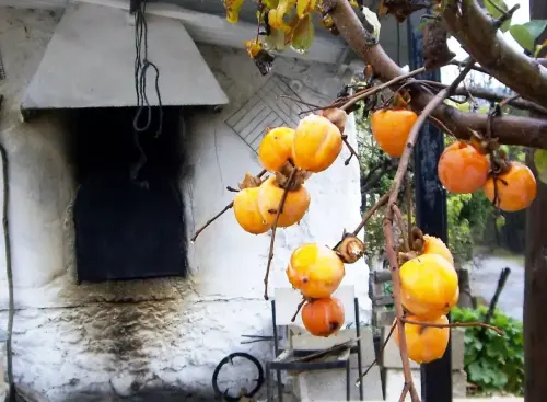 Hornos-Yeste-Arguellite