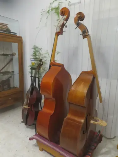 Contrabajos-y-viola-de-gamba