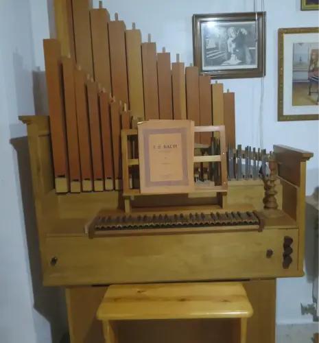 Organo-di-legno-Juan-Bautista-Diaz-2005