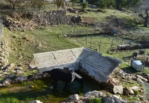 Lavaderos-Arteaga-Penascosa