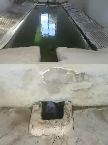 Lavaderos-Canada-Buendia-Socovos