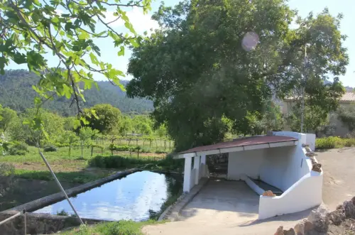 Lavaderos-Canada-de-Haches-de-Arriba-Bogarra2