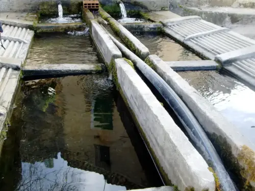 Lavaderos-El-Collado-Yeste2