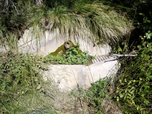 Lavaderos-Por-Las-Aceas-Yeste