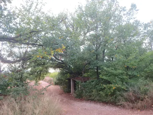 Lavaderos-Santiago-de-Mora-Tobarra