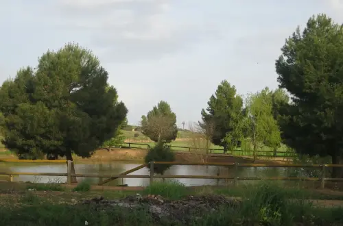 Navajos-Campillo-de-la-Virgen-Pozohondo5