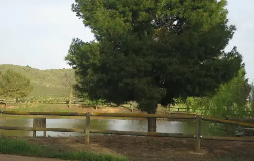 Navajos-Campillo-de-la-Virgen-Pozohondo6