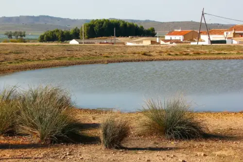 Navajos-Campillo-de-las-Doblas-Pozohondo2