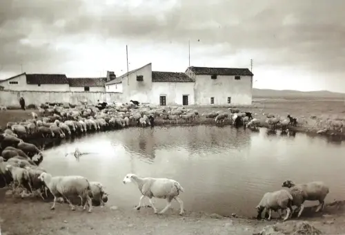 Navajos-Canada-Molina-Pozohondo