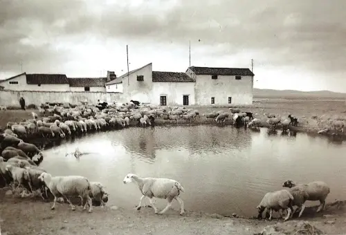 Navajos-Canada-MolinaPozohondo2