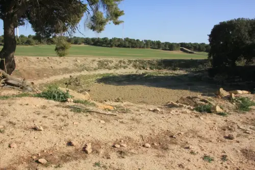 Navajos-Casa-del-Olivar2-Pinilla-Chinchilla