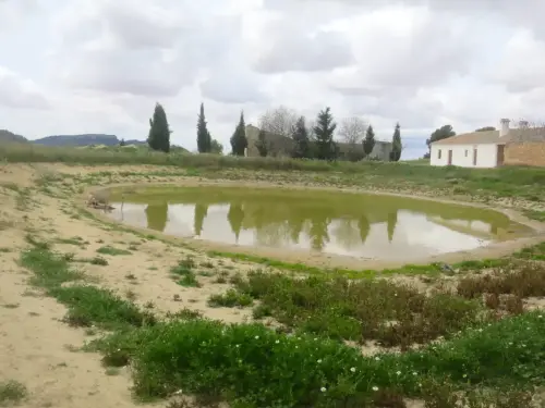 Navajos-Cerca-de-Montealegre2