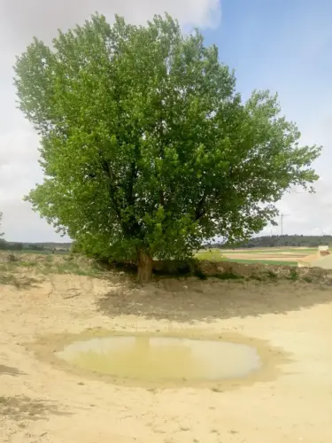 Navajos-Cerca-de-Ontur