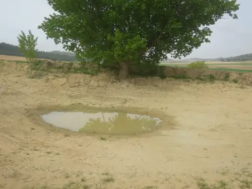 Navajos-Cerca-de-Ontur2